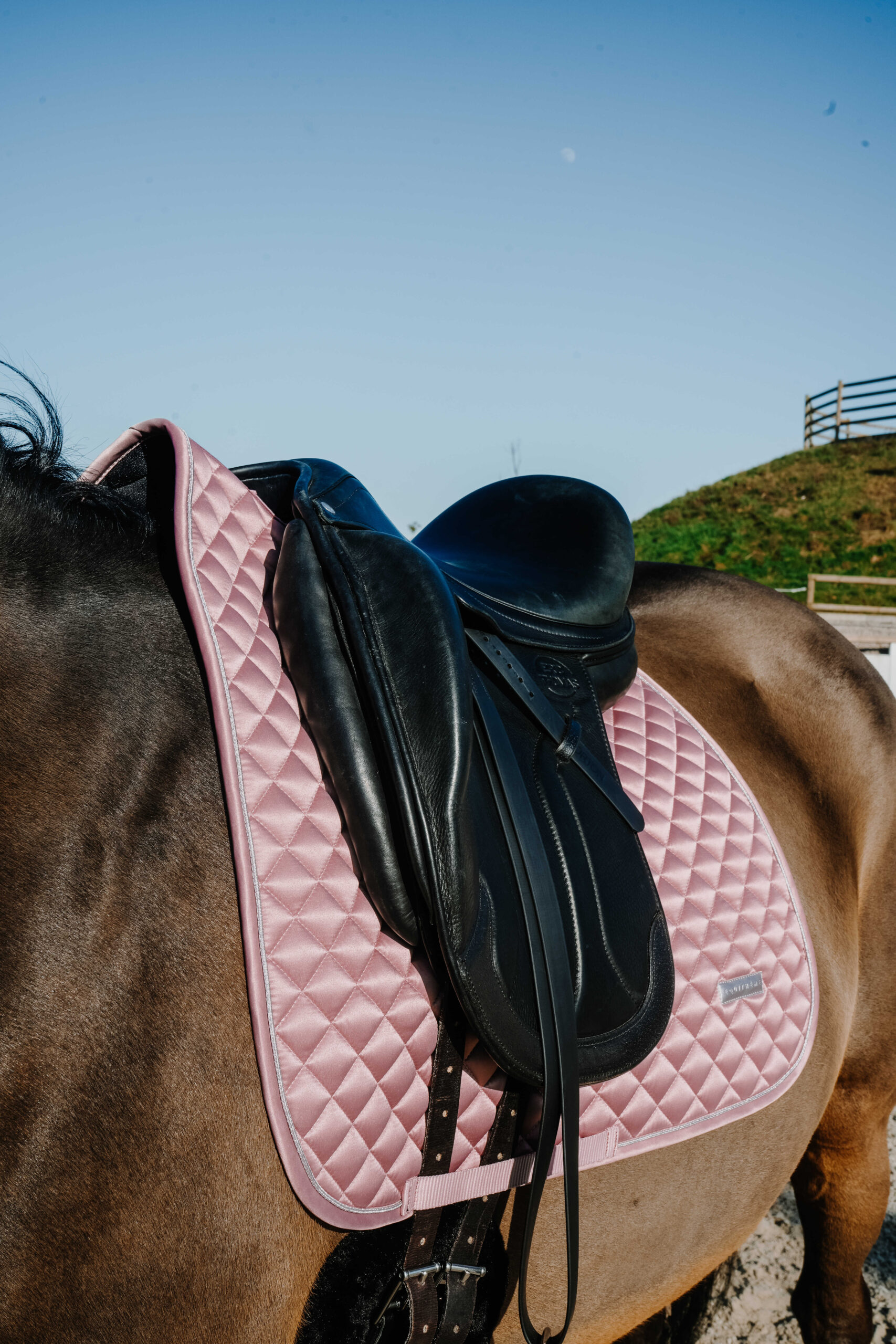 EQUITHEME Nacre dressurunderlag pink full size - Billede 2