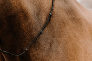 NORTON Olierede lædertøjler web sort pony size