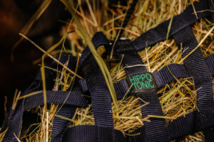 HIPPOTONIC Webbing høtaske marineblå