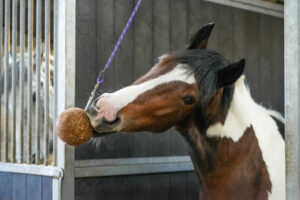 LIKIT Low Sugar Stall Ball æble 1,5 kg