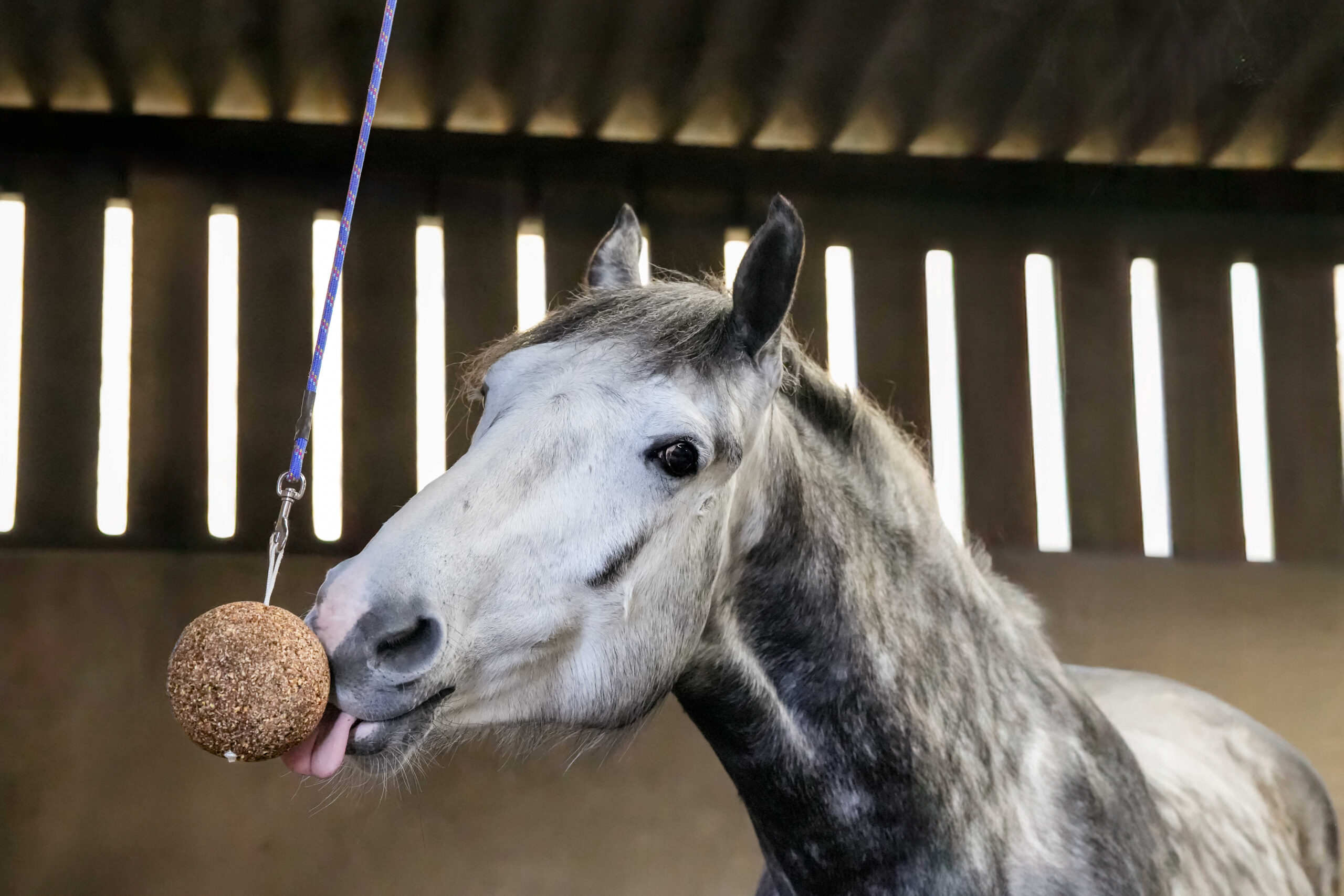 LIKIT Low Sugar Stall Ball æble 1,5 kg - Billede 2