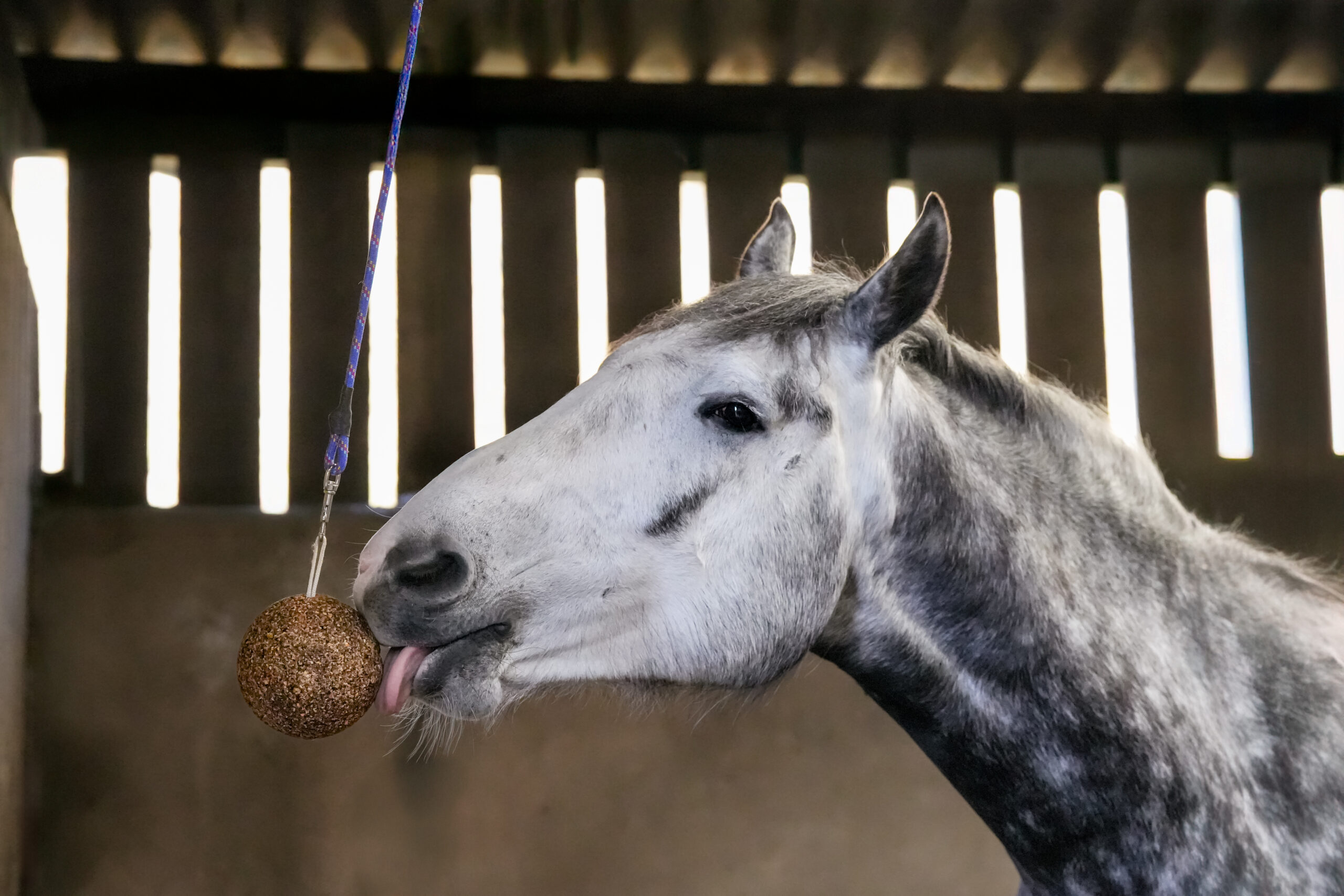 LIKIT Low Sugar Stall Ball æble 1,5 kg - Billede 3