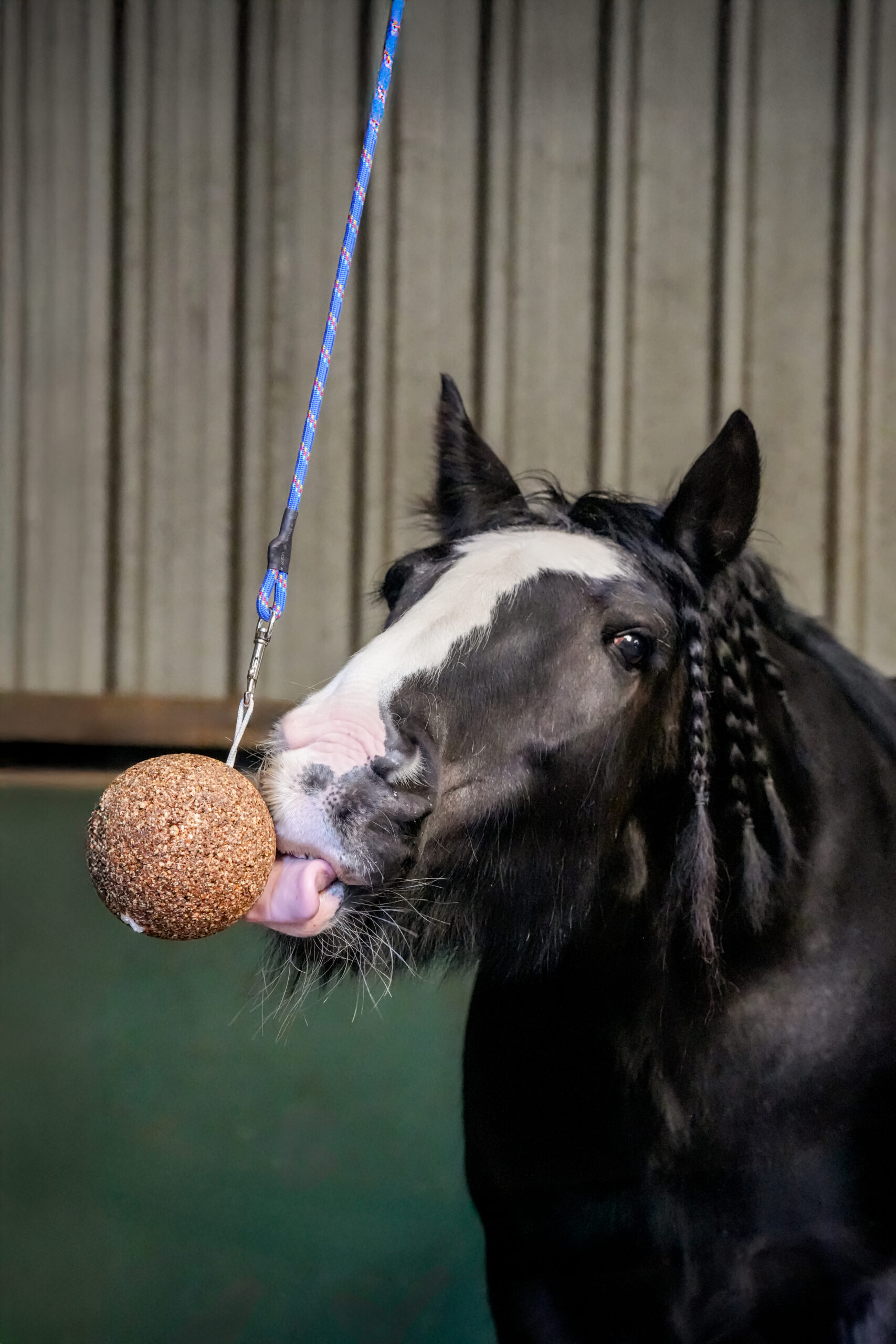 LIKIT Low Sugar Stall Ball æble 1,5 kg - Billede 4
