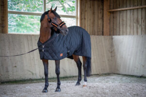 PADDOCK Regndækken 50 g sort 5'9