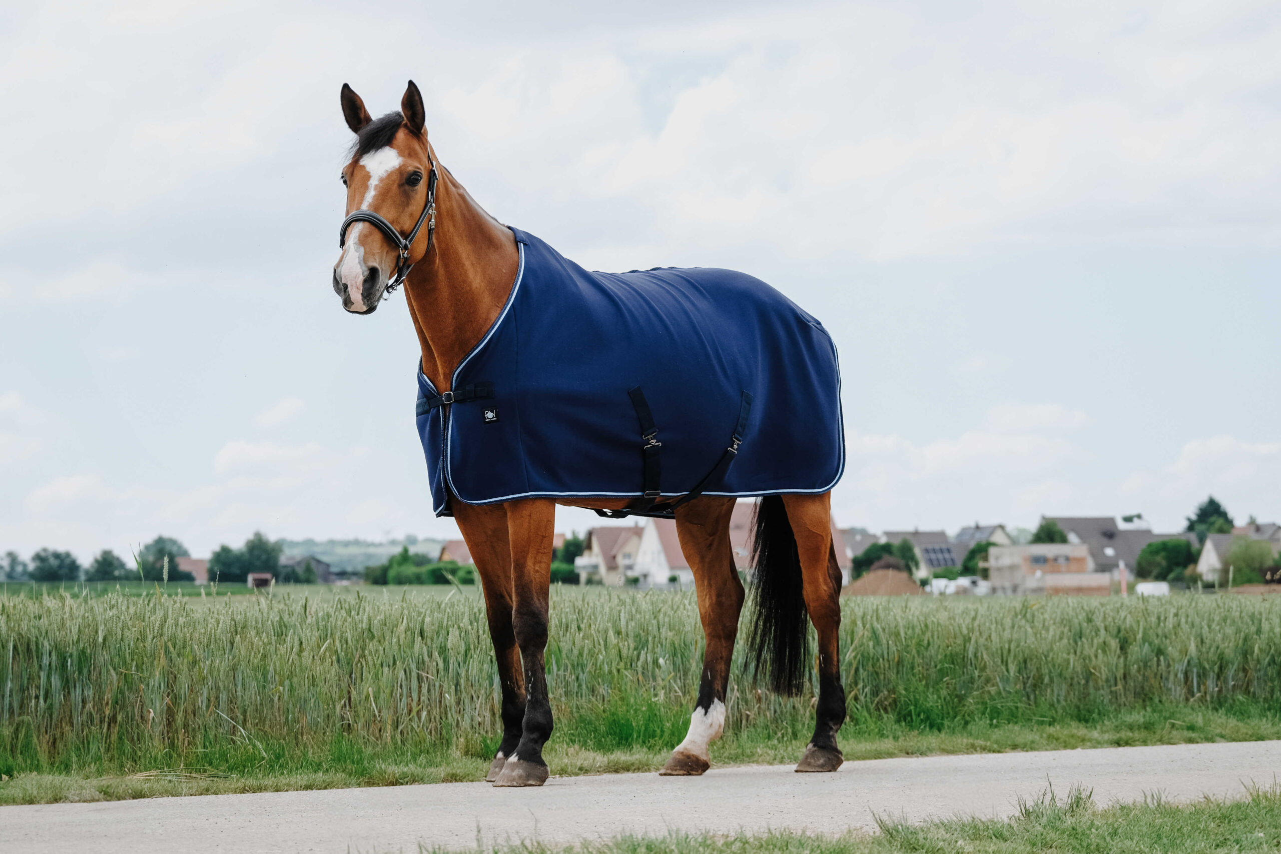 RIDING WORLD Sveddækken Navy 6'0 - Billede 4