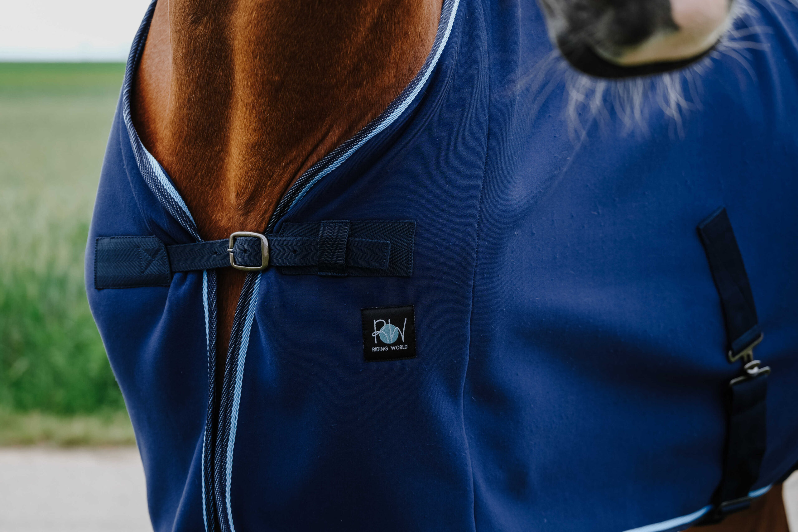 RIDING WORLD Sveddækken Navy 6'0 - Billede 5