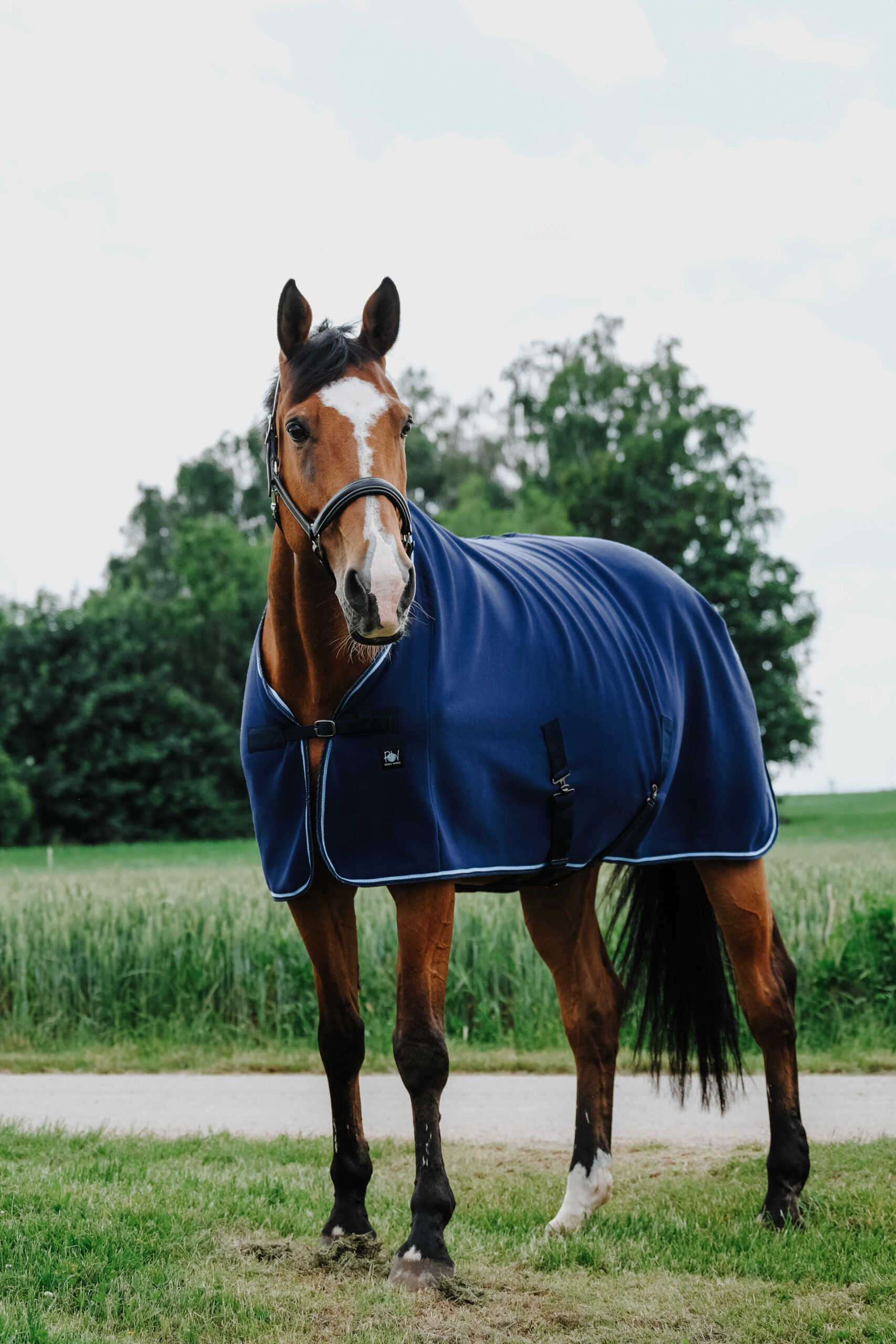 RIDING WORLD Sveddækken Navy 6'0 - Billede 7