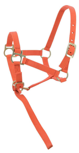 NORTON Justerbar føl‑grime nylon orange